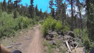 preview picture of video 'Angel Fire downhill 7 3 2014'