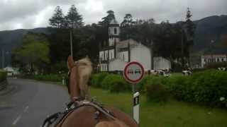 preview picture of video 'Sao Miguel Azores Portugal Horse Riding'