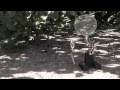 Luci S Final Project The Lonely Robot
