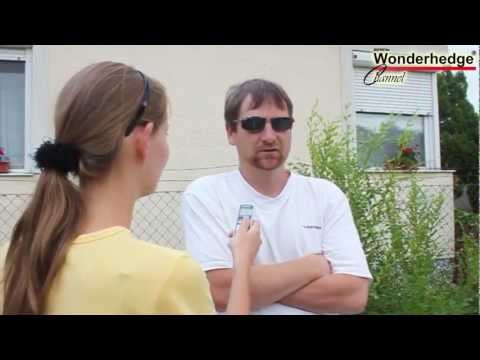 CSODASÖVÉNY vélemények, kritikák  tulajdonosoktól