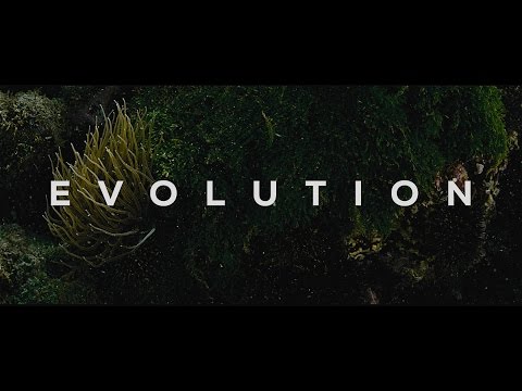 Évolution