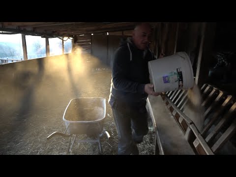 Обећана земља - Свугде човек може да постане свет