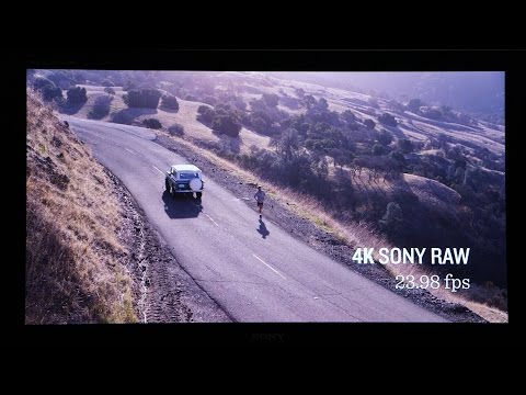 IBC2014: Sony 4K-OLED-Monitor BVM-X300