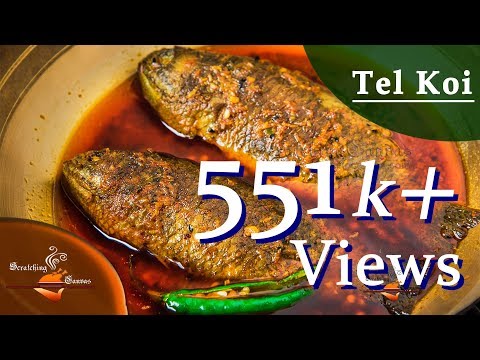 download lagu mp3 mp4 Koi Recipe, download lagu Koi Recipe gratis, unduh video klip Koi Recipe