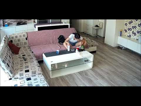 🔴LIVE- Monkey Baby Bon Bon eats rainbow jelly with puppies and bathes with ducklings in the bathroom ▶9:14