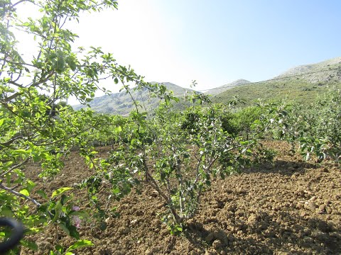 AX985 Cortijo El Rubio, Periana - plot