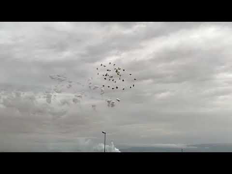 Italian Fireworks show Festa Madonna del Soccorso 2024 Daylight Fireworks from Mazzone Fireworks!