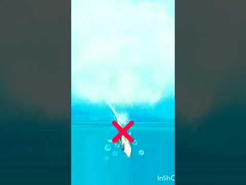 🎮HUNGRY SHARK EVLOTION GAME PLYA SHALL SHARK😶‍🌫️VS🤯HORSE SHARK TO HIGESH JUMP KHATRNAK FIGHT LES GO🎮