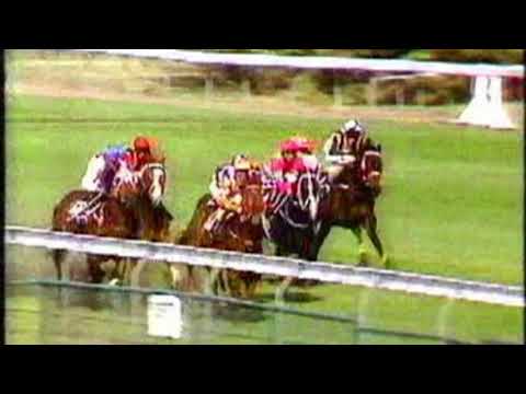 1988 VRC Gadsden Stakes - Special