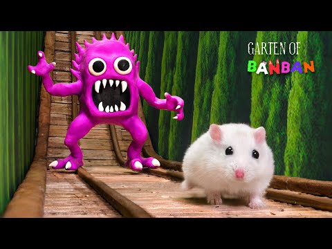 Escape Plan From Garten Of Banban Monster 🐹 The Best Hamster Challenges