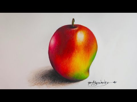 How to draw a mango for beginners | step by step tutorial