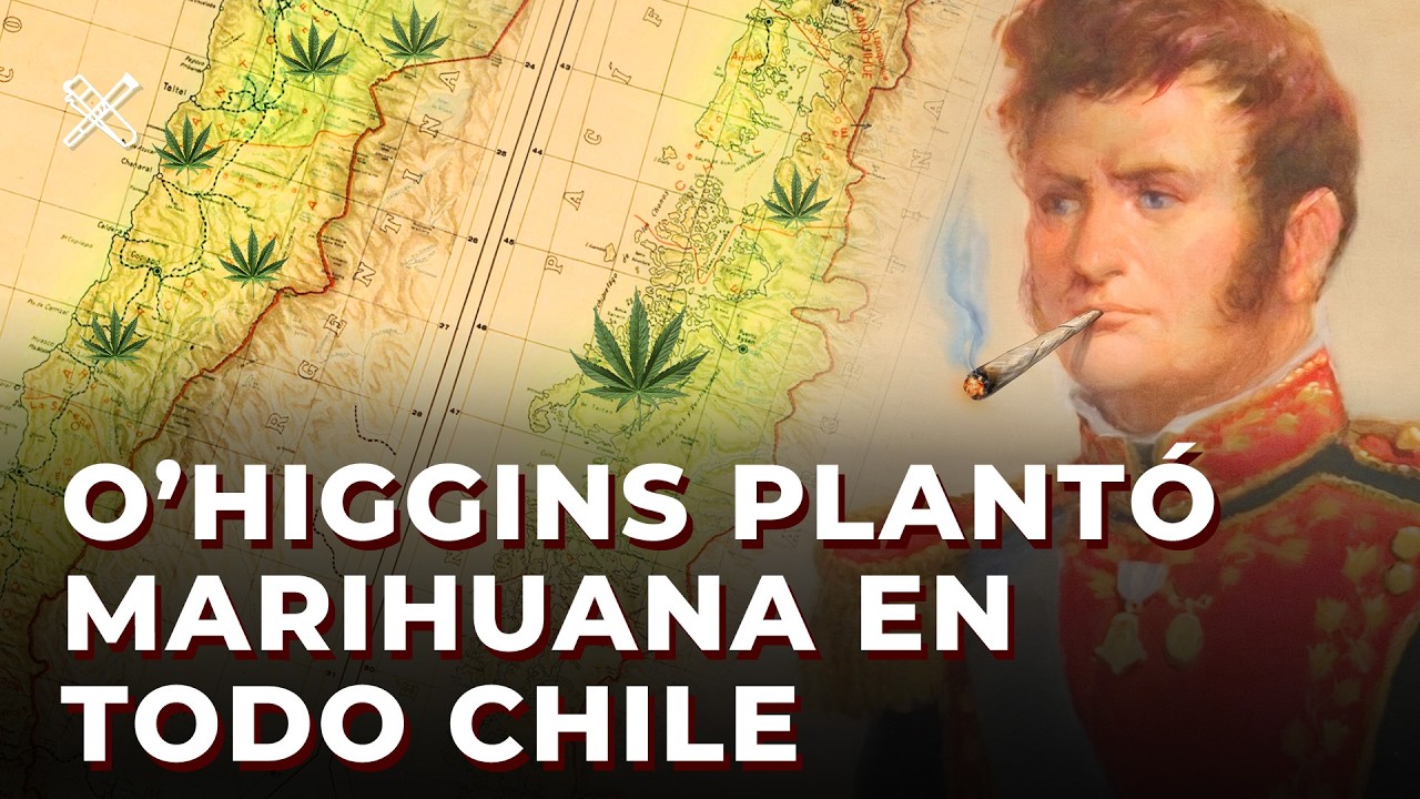 Quién hizo ilegal el cannabis en Chile? ¿Pinochet o Allende?