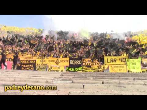 "La banda siempre va estar" Barra: Barra Amsterdam • Club: Peñarol