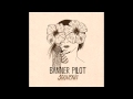 Banner Pilot - Fireproof 