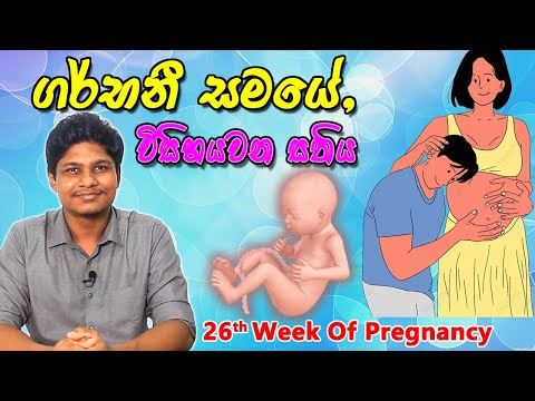 Pregnancy 26th Week | Sinhala Medical Review | අම්මයි බබයි
