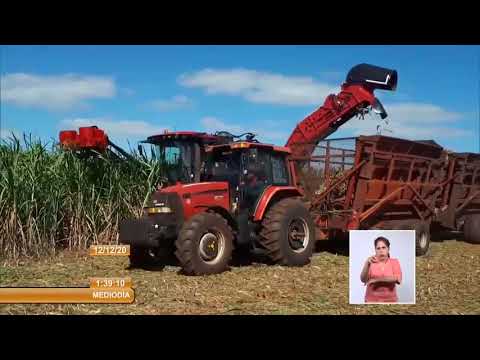 Buen inicio de la zafra azucarera 2020 2021 en Matanzas, occidente de Cuba