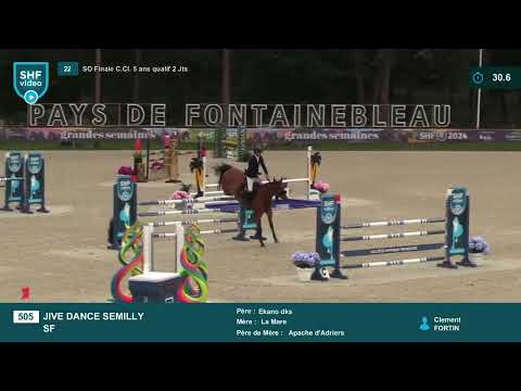 JIVE DANCE SEMILLY