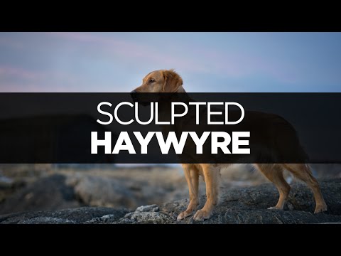 [LYRICS] Haywyre - Sculpted