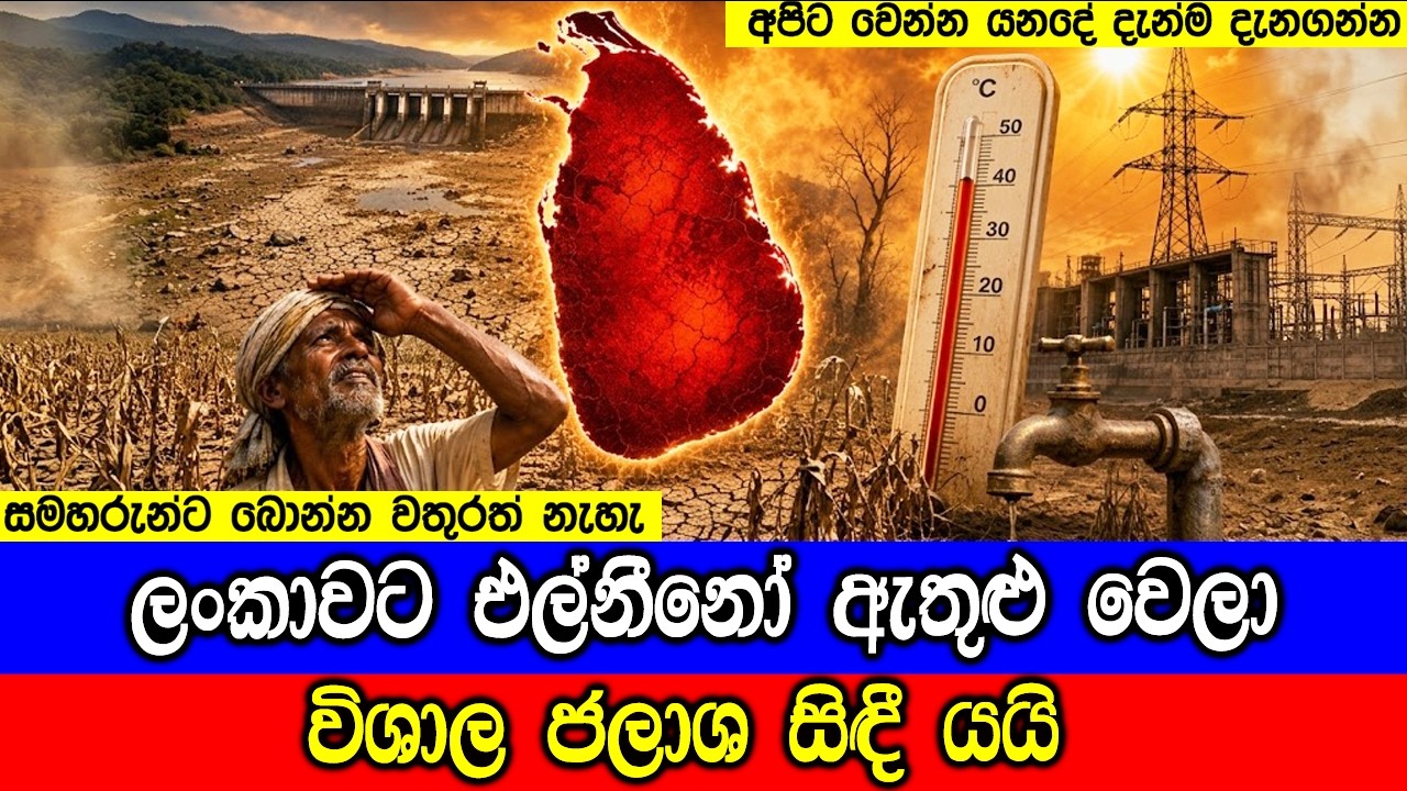 ලංකාවට එල් නීනෝ ඇතුළු වෙලා! What a Strong El Niño Could Mean for Sri Lanka ?