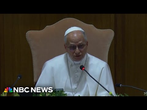 Pope Leo issues new warning on artificial intelligence