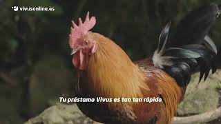 Vivus Préstamos en menos de lo que canta un gallo anuncio