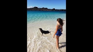 Download the video "Coral I and II Galapagos Cruise February 2026"