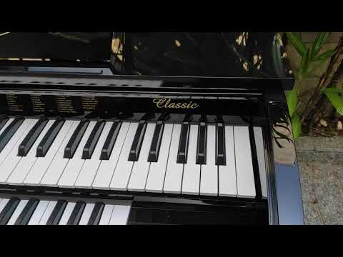 Órgão Eletronico Digital Acordes Classic lançamento