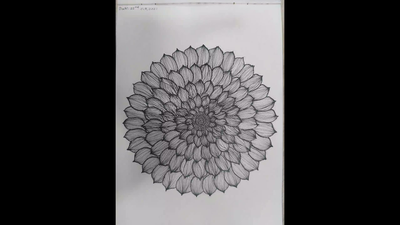 flower zentangle | line art | Botanical illustration | flower tutorial | Lineart