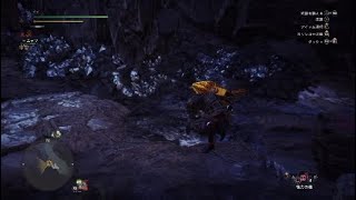 [MHW]歴戦王ゼノ･ジーヴァ　ハンマーでソロ討伐　(19:55:90)