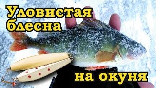 Зимние блесна blue fox bergman