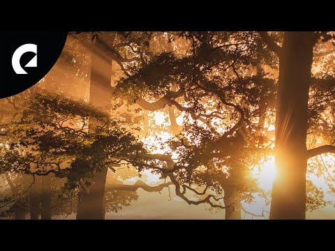 Philip Ayers - Together We Rise