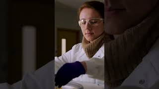 Institute of Science & Environment Degrees | Discover Science | University of Cumbria