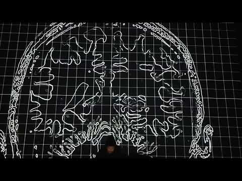 Daito Manabe & Kamitani Lab - Dissonant Imaginary Part 1/2 Live MUTEK 2019 Tokyo, Japan