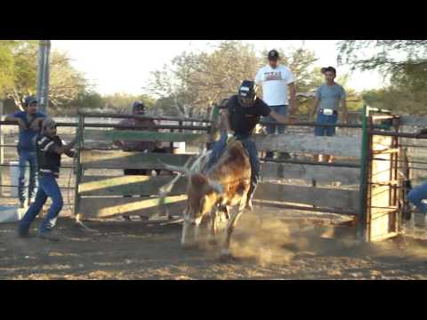 bull riding 2