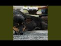 Weary Dogs Blues - Blind Lemon Jefferson - Topic Weary Dogs Blues
