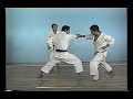 Bassai Dai Kata Bunkai