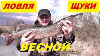 Клев щуки в иртышске