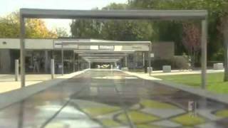 No Consolation for the Cinques video