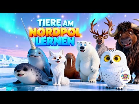 Discover animals at the North Pole - Learning song: Arctic animals 🐻‍❄️