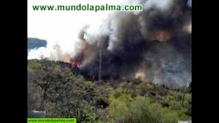 preview picture of video 'Incendio en El Paso, La Palma. Declaraciones Guadalupe González Taño'