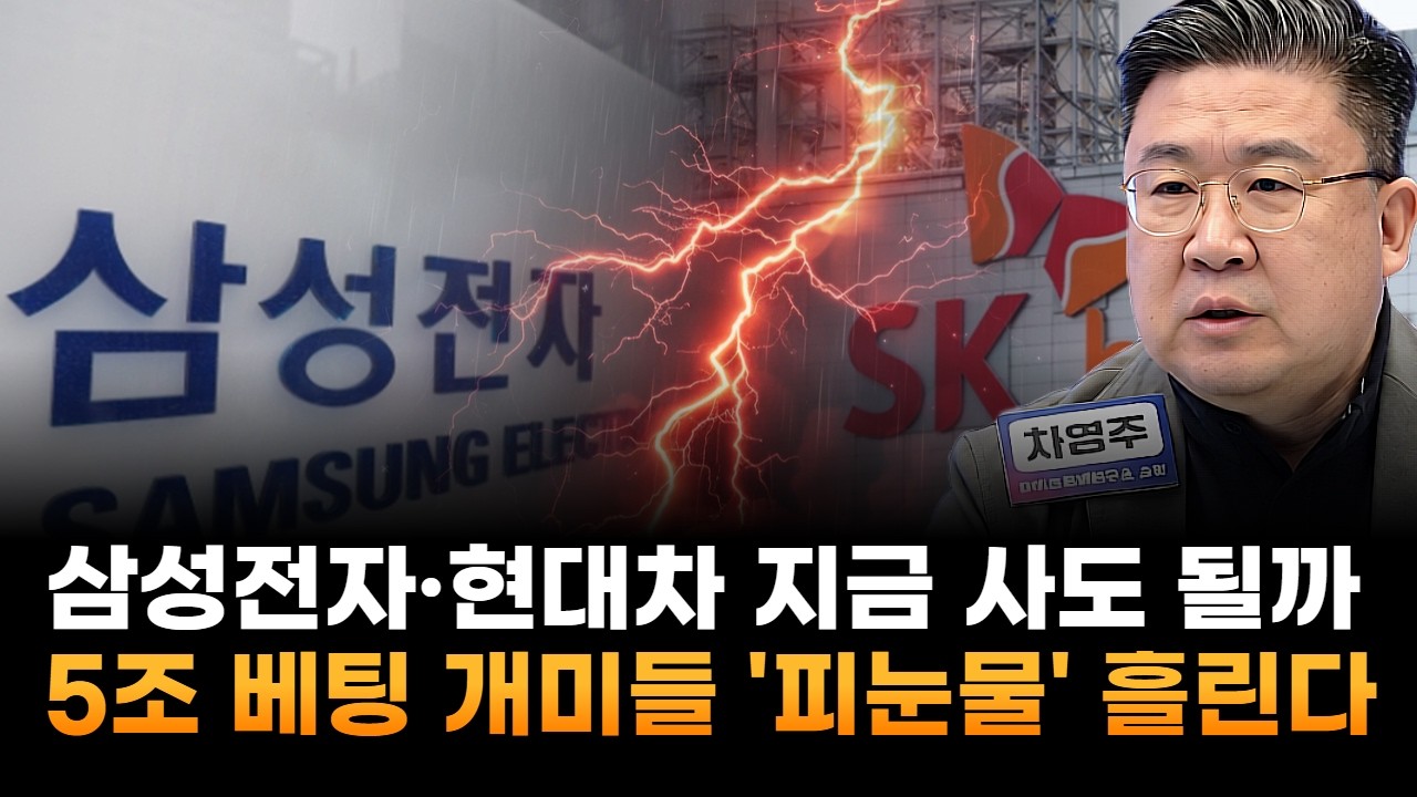 삼성전자·현대차 지금 사도 될까…5조 베팅 개미들 '피눈물' 흘린다 (차영주 와이즈경제연구소 소장)