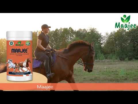 Horse Natural Trace Minerals