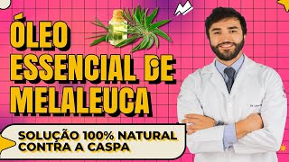 ÓLEO DE MELALEUCA no cabelo: benefícios e jeito certo de usar