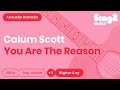 Calum Scott You Are The Reason Higher Key Acoustic Karaoke