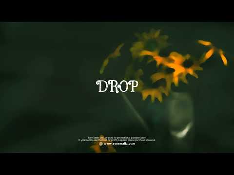 DROP - [ Burna Boy x Wizkid x Bnxn x Type Beat ] AFROBEAT 2022 2023