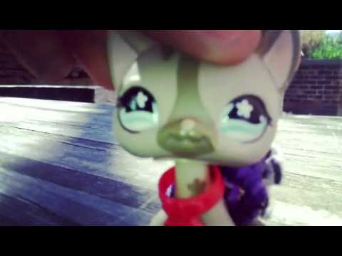 LPS: Runaway-(Short MV)155 CC special
