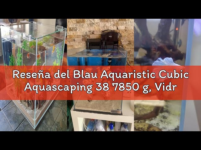 Vídeo relacionado con Blau Aquaristic Cubic Panoramic 20X20X25 Cm 10 litros 3150 g, Vidrio