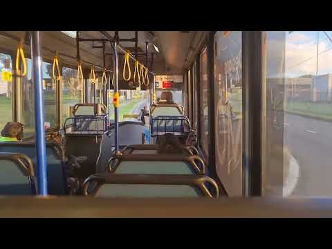 Hillsbus (CDC Group) m/o 1091 - Volvo B10BLE.