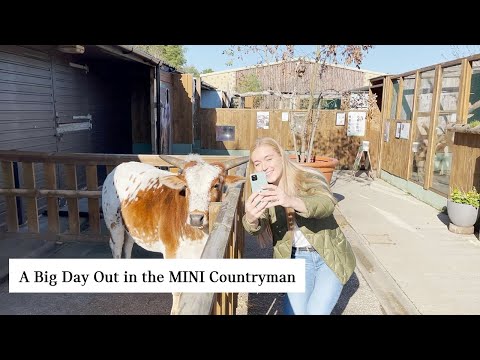 A Big Day Out in the MINI Countryman!