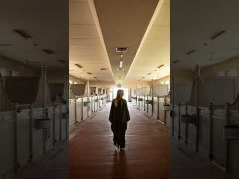 DUBAI STUD AUCTION 2022 - REEL